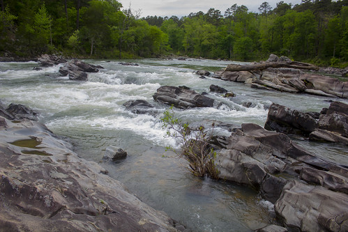 nature water rock forest river wildlife rapids arkansas cossatot