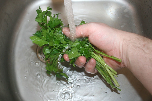 48 - Petersilie waschen / Wash parsley