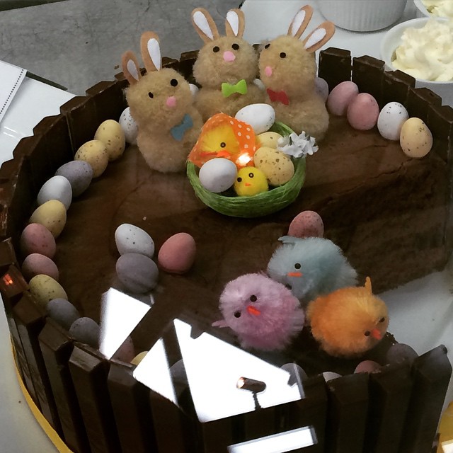 Easter Bunny cake! It tasted great too. Do note the kitkats around the edge.
