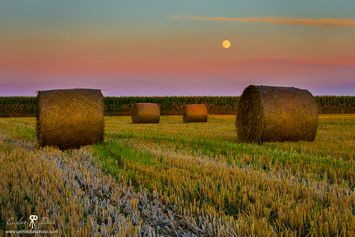 moon portugal nature horizontal landscape straw fullmoon moonrise fields moonlight rolls agriculture coimbra montemor mondego montemorovelho