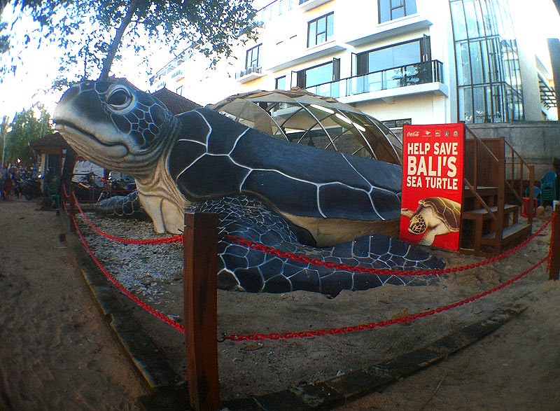 13. Giant sea turtle by kutaseaturtle.com