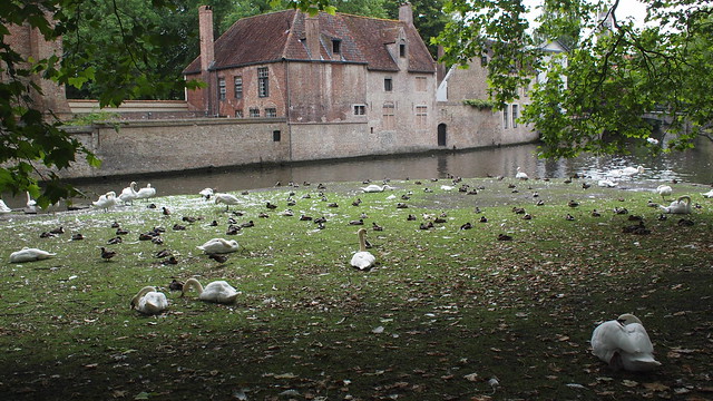 Brugge Begijnhof
