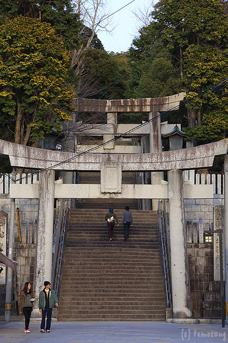SAKURA at Miyajidake Shrine