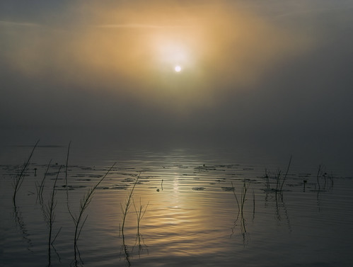 mist lake fog sunrise finland reeds landscape haze nikon waterlilies d800 smokeonthewater finnature jyrkiliikanen