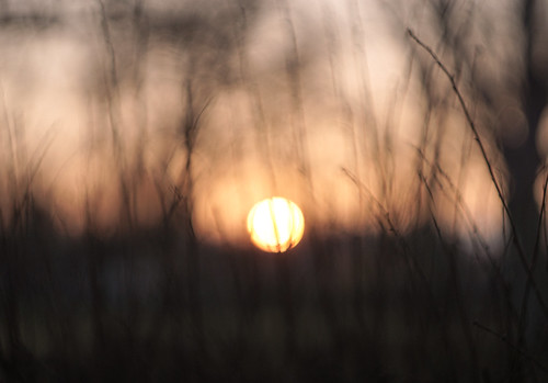 sunset sun sony m42 f2 58mm manualfocus 6000 zahrada helios 2015 ilce zamocka hlohovec