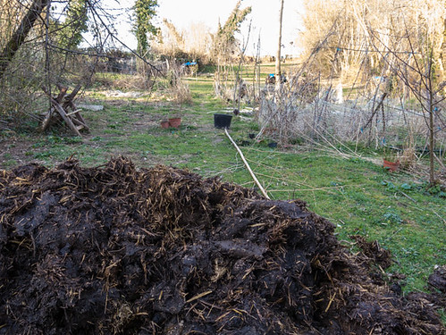 Well rotted manure in the kitchen garden