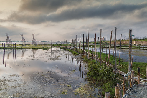 taiwan places wetlands chenlong chenglong2016 villagersproject janeingramallenproject