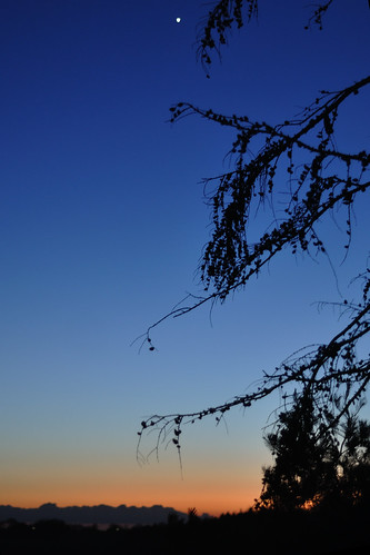 landscape deutschland sonnenuntergang sundown bluehour stern landschaft deu schleswigholstein blauestunde ostholstein ahrensbök 070365 c2015karinslinsede