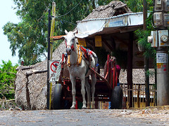 photo - Nicaragua Transportation