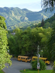 Jayuya, Hacienda Gripinas school buses