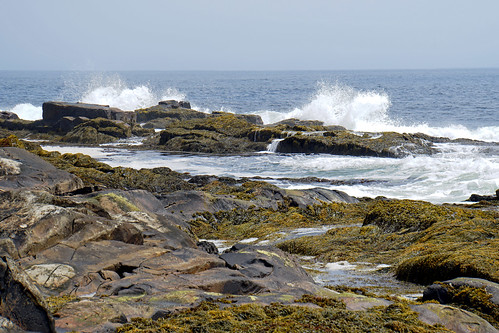 canada seaweed waves novascotia sony free coastline dennis jarvis southshore iamcanadian 18200mm westernhead mirrorless freepicture lighthouseroute 1650mm dennisjarvis a6300 archer10 dennisgjarvis ilce6300