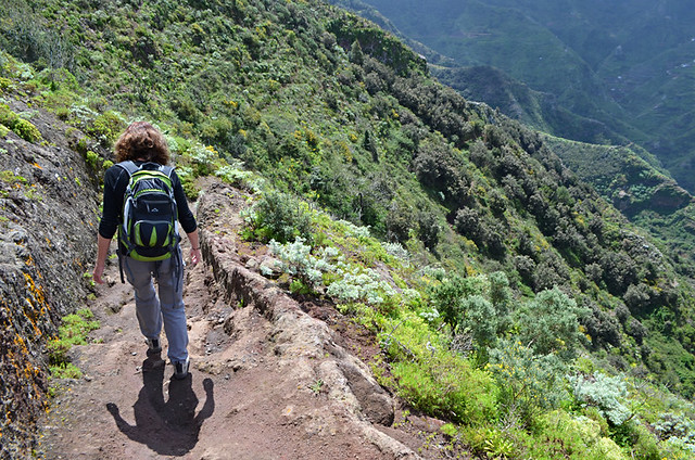 On the trail, Chinamada, Anaga, Tenerife