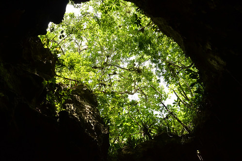 travel summer green nature america forest mexico state sommer central yucatan tourist cenote jungle cave amerika peninsula grutas grotte gruta mérida hule oxkutzcab loltún mellemamerika