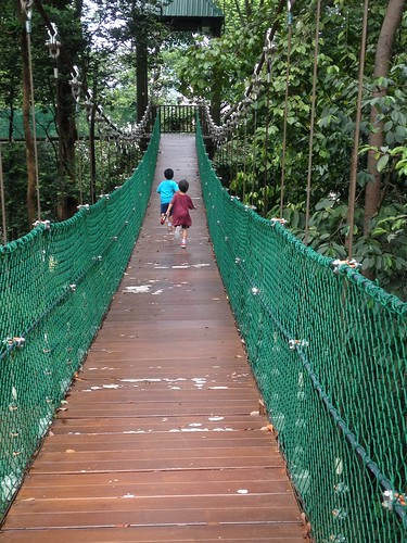 Bukit Nanas... City boys in an urban jungle trek...