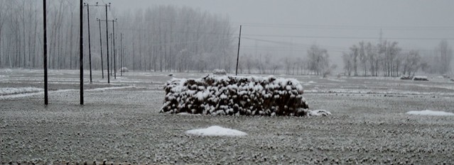 All flat surfaces are covered with snow, no exception. A shrub, a heap of cut grass or even a pile of wood, everything is layered, buried under snow. In picture, a heap of cut grass in a farm field in one of the villages in the valley.