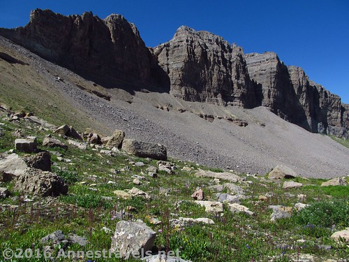 Cliffs along the Trail Route in Upper Darby Canyon, Jedediah Smith Wilderness near Grand Teton National Park, Wyoming