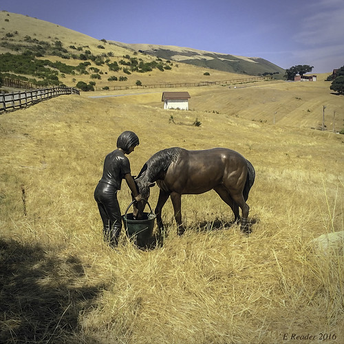 california ranch sculpture horse history field landscape estate carmel rancho carmelvalley holmanranch holmansguestranch clarenceholman
