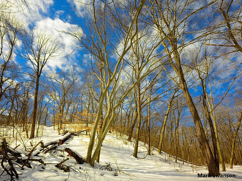 blue winter sky snow tree nature clouds forest landscape nikon wide scenic sigma 1020mm d5100