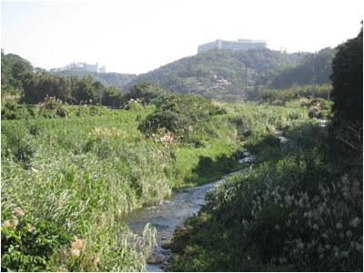 曾受工業廢水重度汙染的霄裡溪。圖片來源：梧桐基金會