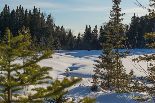 winter snow newfoundland nikon sunny calm trail tamron drift gander tamron70300 wadejanes