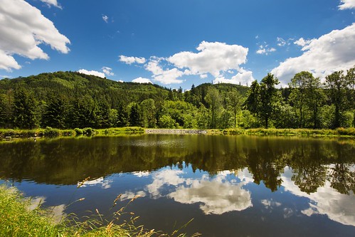 clouds surface mirroring moravian pond water view valley tree sky scene rural nature natural leaf landscape green grass forest country cloud beautiful background