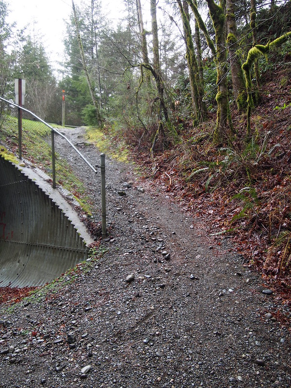 Snoqualmie Valley Trail Entrance: Viewed from the bottom