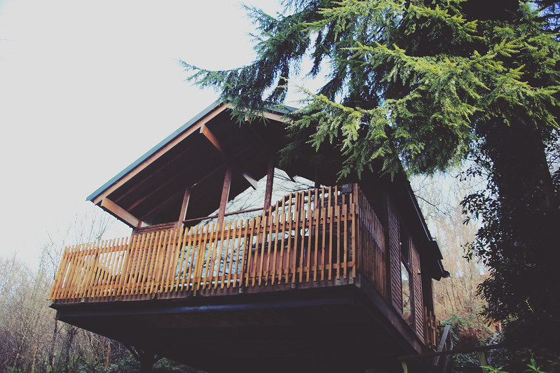 Forest Holidays treehouse