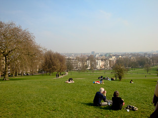 The top of Primrose Hill