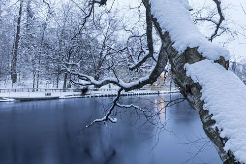 longexposure trees winter snow cold reflection water canon suomi finland river landscape frozen reaching branches smooth frosty maisema snowscape snowcovered originalimage heinola bluemoment milamai