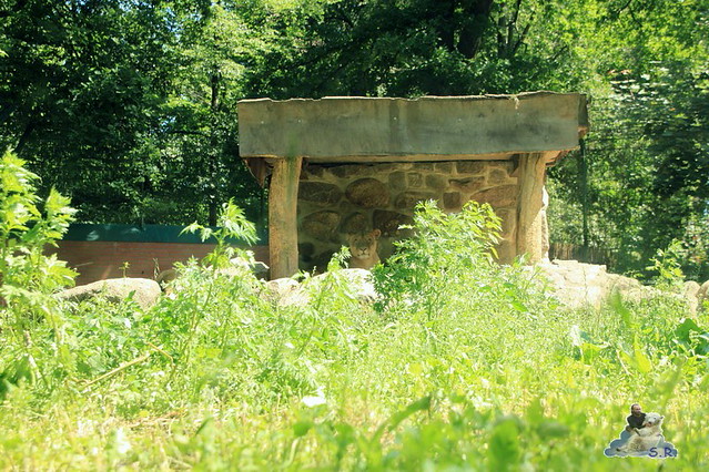 Zoo Eberswalde 04.06.2011 58