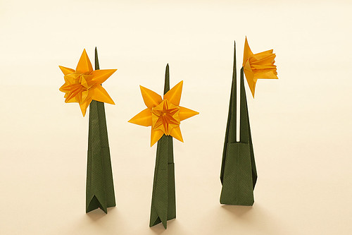 Origami Daffodil (Ted Norminton)
