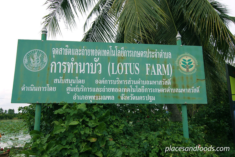 lotus farm Mahasawat River, Nakhon Pathom signage