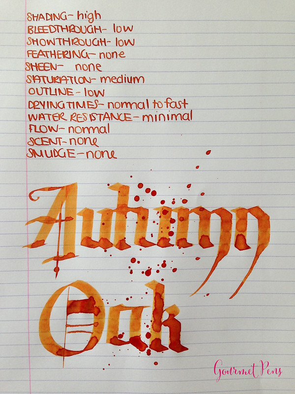 Ink Shot Review Diamine Autumn Oak @CouronneDuComte (6)