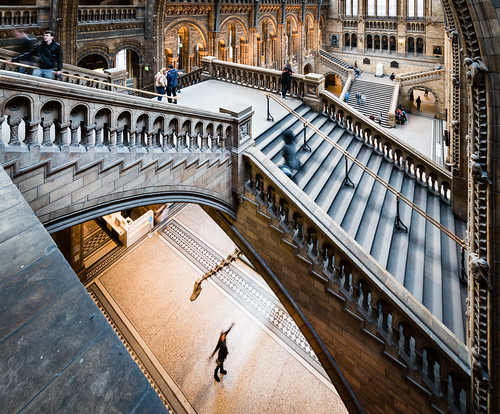 Natural History Museum - Dippy Under Stairs - 82/365