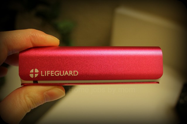lifeguard mini 1