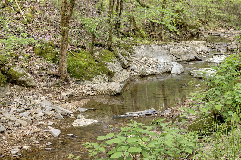 Bluhmtown Creek, Dekalb County, Tennessee 2