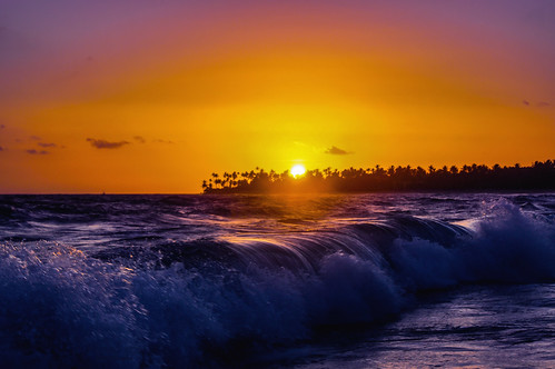 puntacana dominicanrepublic atlanticocean ocean water waves morning sky sun sunrise shoreline trees palmtrees silhouette light sunlight glow refreshingbreeze ♡ thegalaxy