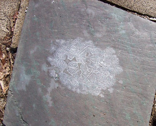 salt crystal pattern on flagstone 2