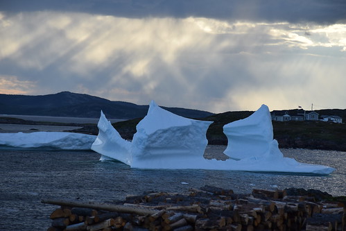 canada newfoundland labrador icebergs stlewis foxharbour