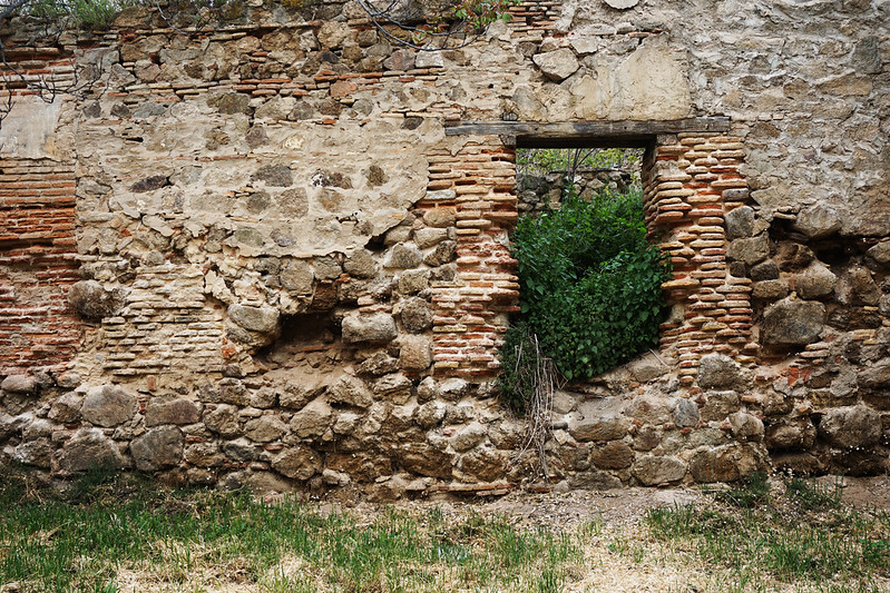 overgrown wall