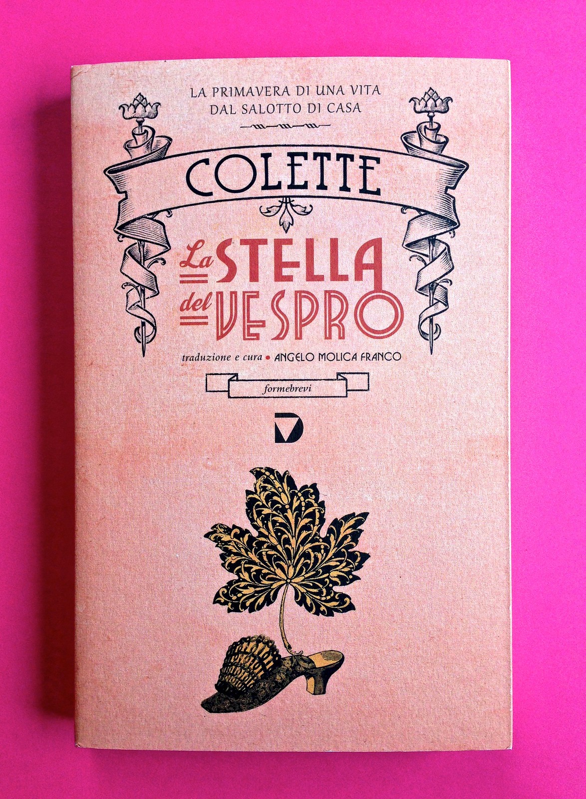 La stella del vespro, di Colette. Del Vecchio Editore 2015. Art direction, cover, illustrazioni, logo design: IFIX | Maurizio Ceccato. Copertina (part.), 1