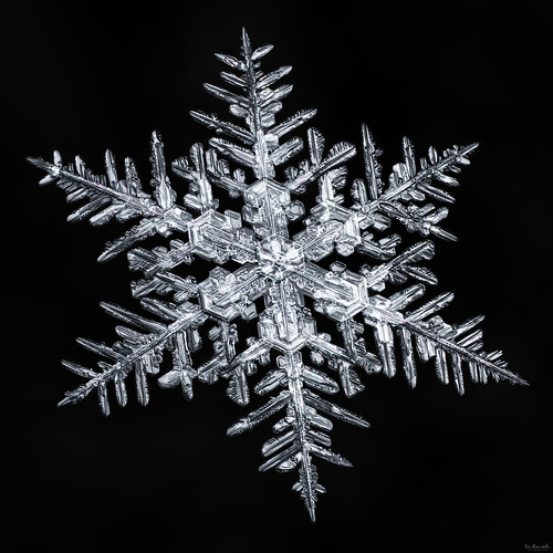 snowflake winter sky snow macro ice nature water frozen crystal geometry flake symmetry physics fractal mpe focusstacking