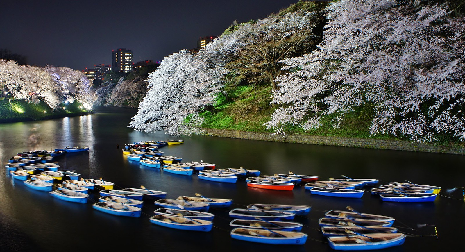 Surreal boats floating at Chidorigafuchi Cherry blossom illumination in 2015