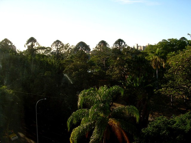 Brisbane, Botanical Garden | Flickr - Photo Sharing!