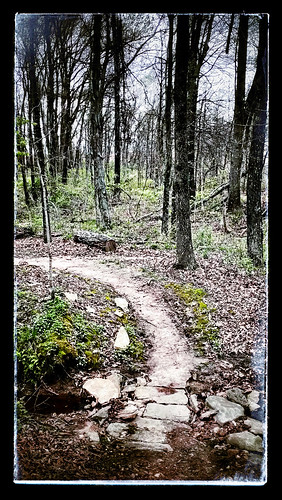 trees landscape woods path trail missouri stcharles app htc snapseed