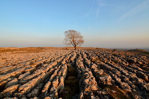 sunset tree nikon yorkshire limestone tamron northyorkshire malham limestonepavement malhamcove 1118mm tamron1118mm d5100 nikond5100 karldelahaye