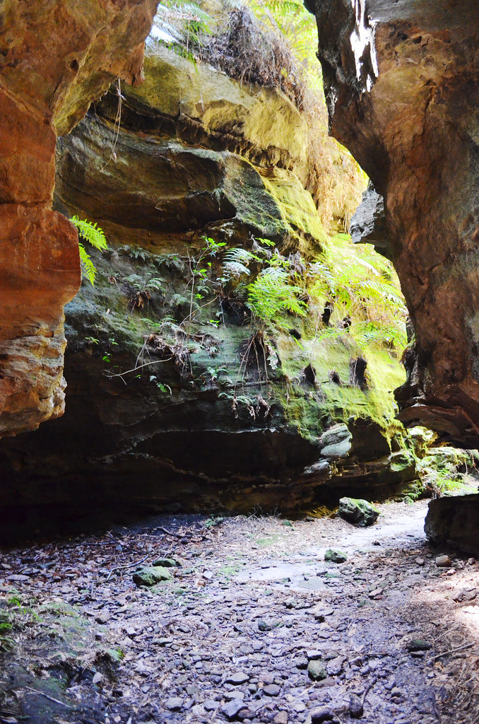 A week in the Blue Mountains - Part 5: The Newnes Glow Worm Tunnel & Wolgan View Canyon with Blue Mountains Guides