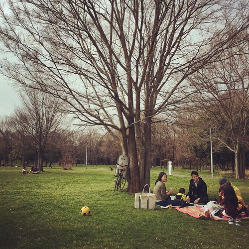 たまたま居合わせた友人一家とピクニック。春っぽい。 #oskpcnc