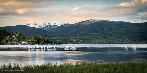 longexposure sunset mountain lake mountains west pelicans nature water birds outdoors scenery colorado scenic americanwest theamericanwest thewest shadowmountainlake