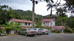 Jayuya, Hacienda Gripinas